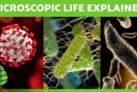 Abstract Microbiology Background Stock Illustration - Illustration of ... Best Ways To Discover New Entertainment Content